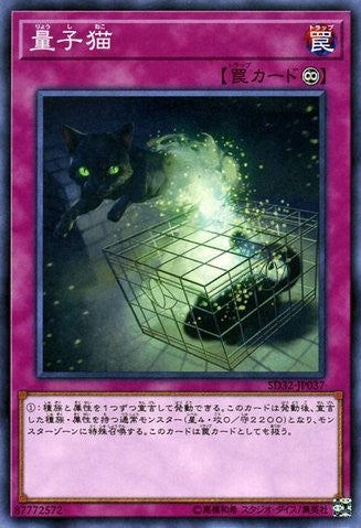Quantum Cat [SD32-JP037-C]