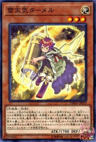 Thunder Weathery 터머 [DBSW-JP033-C]