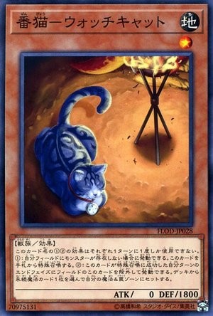 Watch Cat [FLOD-JP028-C]