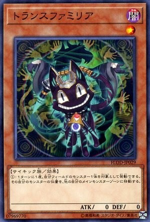 Transfamiliar [FLOD-JP029-C]