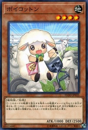 Boycotton [FLOD-JP035-NR]