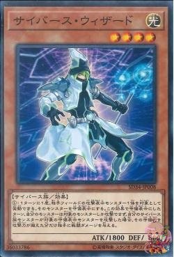 Cyberse Wizard [SD34-JP008-C]