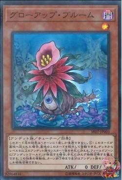 Glow-Up Bloom [SR07-JP003-SR]