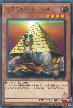 Pyramid Turtle [SR07-JP015-C]