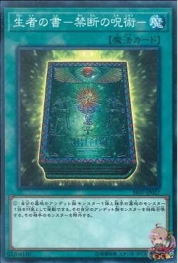 Book of Life [SR07-JP027-C]